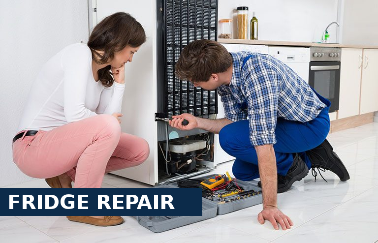 Fridge Repair Chislehurst
